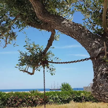 Bed & Breakfast Del Faro-3